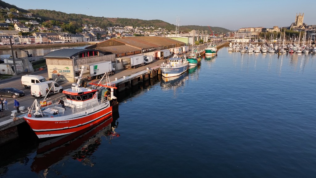 Opérateur de la Criée Côte d'Albâtre devant les écrans de vente aux enchères