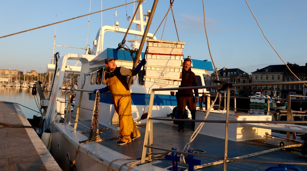 Bateaux de pêche amarrés au port de Fécamp, tôt le matin, avec la halle à marée de la Criée