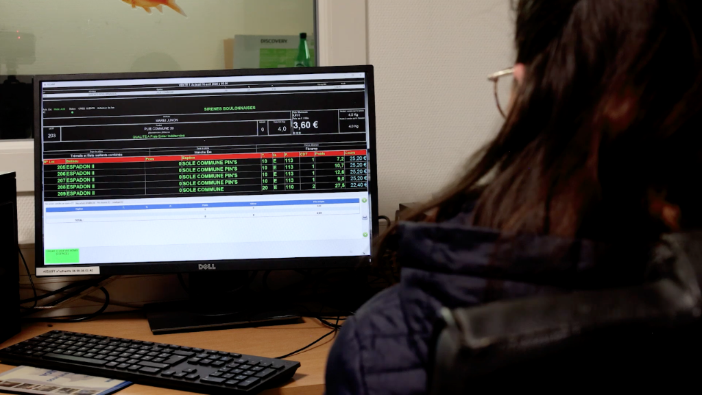 Acheteur devant l'écran Agisoft suivant les enchères en direct de la Criée Côte d'Albâtre